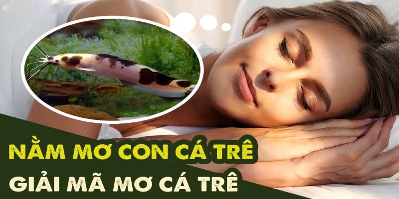 Giải mã trường hợp nằm mơ thấy cá trê màu trắng