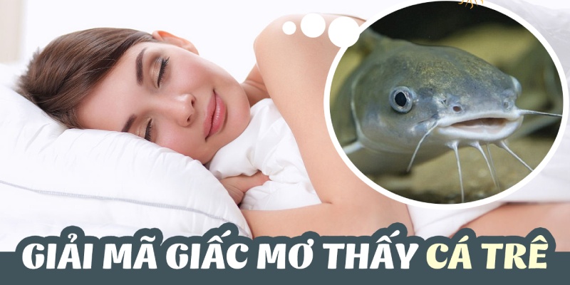 Xác định ý nghĩa của việc nằm mơ thấy cá trê